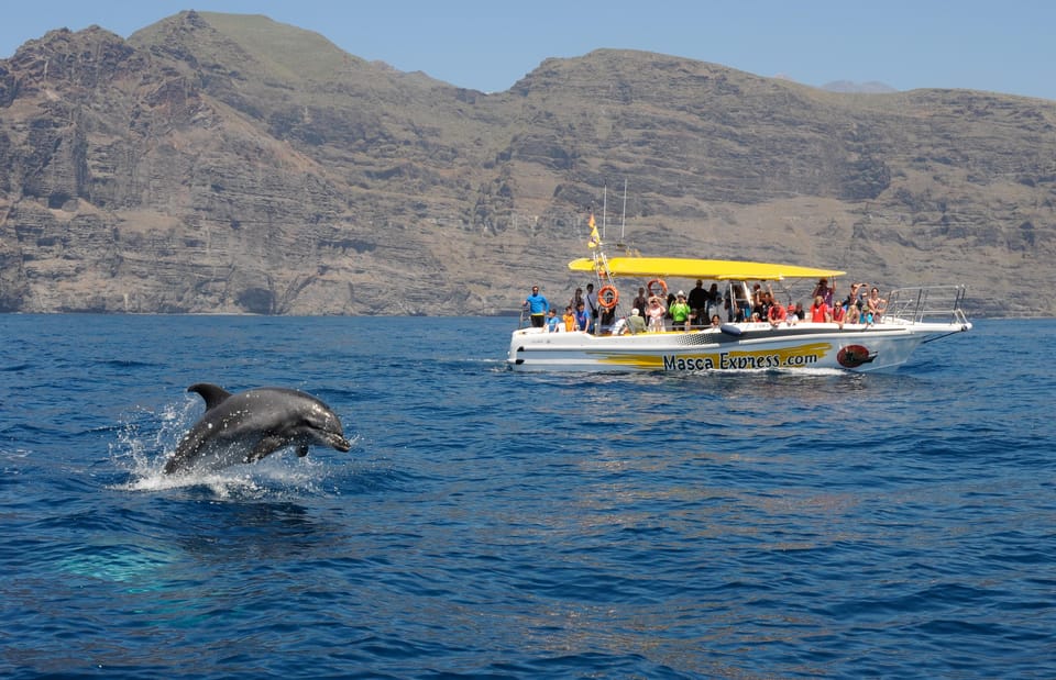 Los Gigantes: Dolphin & Whale Watching Cruise with Swim Stop - Where you start: Los Gigantes Port and the Masca Express