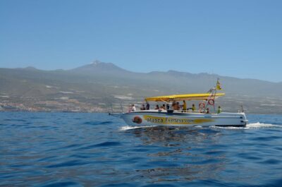 Los Gigantes: Dolphin & Whale Watching Cruise with Swim Stop - The pacing: how a 2-hour cruise actually plays out