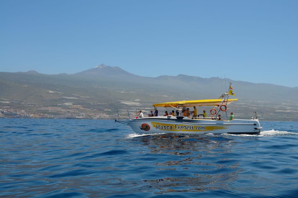 Los Gigantes: Dolphin & Whale Watching Cruise with Swim Stop - The pacing: how a 2-hour cruise actually plays out