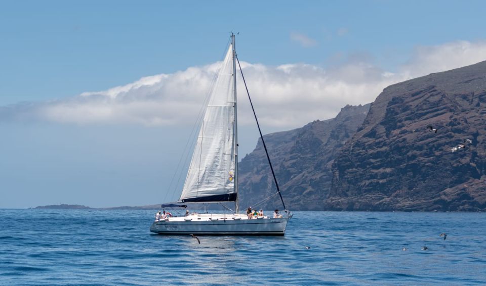 Los Gigantes: Sailing Excursion with Swimming, Drink & Tapas - Following the Red Cliffs: How the Dolphin and Whale Search Works