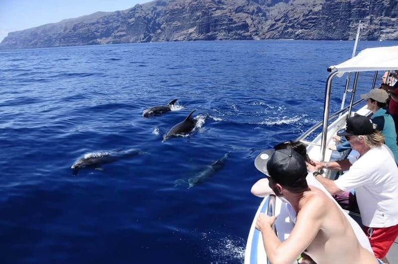 Los Gigantes: Whale or dolphin watching and swimming tour in Masca - Key things that make this Los Gigantes–Masca tour worth your time