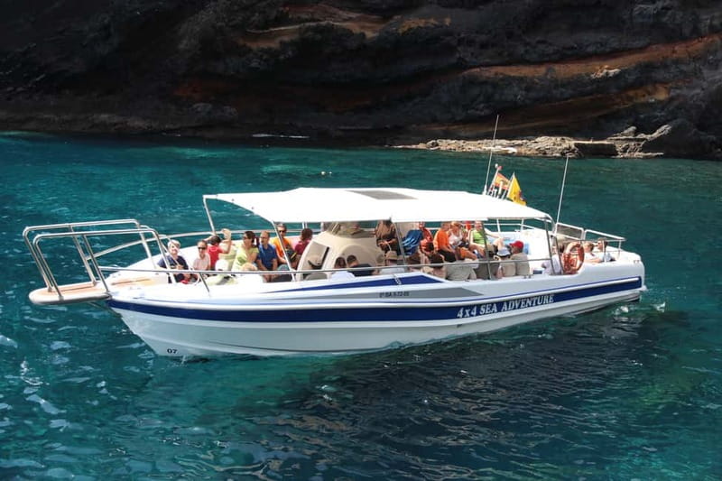 Los Gigantes: Whale or dolphin watching and swimming tour in Masca - From Los Gigantes port to open ocean: what the short 2-hour format really does
