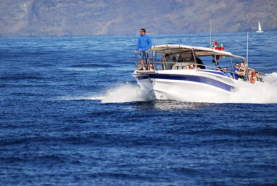 Los Gigantes: Whale or dolphin watching and swimming tour in Masca - Whales and dolphins near Los Gigantes: how to get the best spotting odds