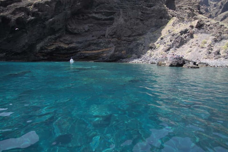Los Gigantes: Whale or dolphin watching and swimming tour in Masca - Should you book it: my honest take