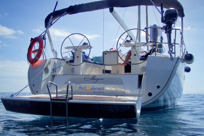 Los Gigantes Whale Watching Charter by Sail Boat - Snorkeling and swimming near the cliffs: how to be ready