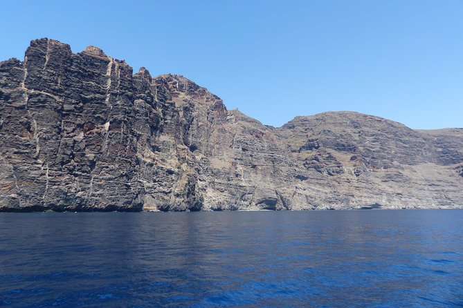 Los Gigantes Whale Watching Charter by Sail Boat - Food and drinks included: why the $90.70 feels like value