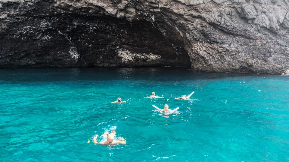 Los Gigantes: Whales and Dolphin Watching Cruise with Lunch - Price and Value: Is $74 a Fair Deal Here?