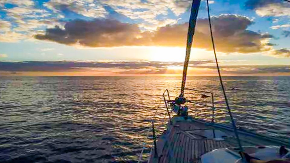 Los Gigantes: Whales and Dolphin Watching Cruise with Lunch - The Cliffs of the Giants Swim Stop: Your 30 Minutes in a Clear Cove