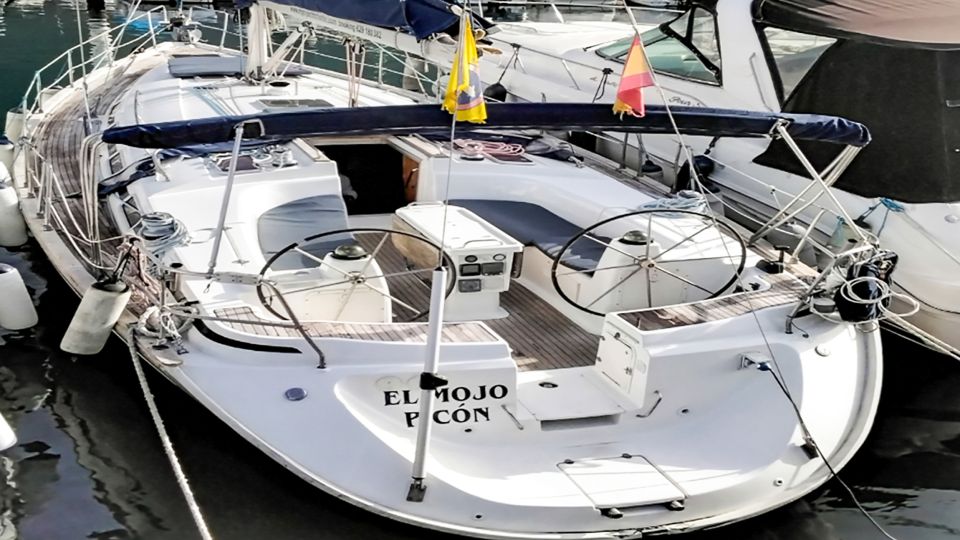 Los Gigantes: Whales and Dolphin Watching Cruise with Lunch - Lunch on Board: Appetizers, Fruit, and Drinks That Actually Fit the Trip