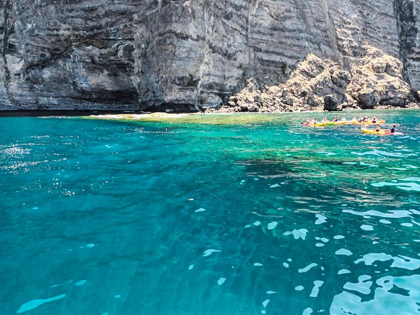 Los Gigantes: Whales and Dolphin Watching Cruise with Lunch - Sunset Option: Same Wildlife Mission, Different Light on the Cliffs