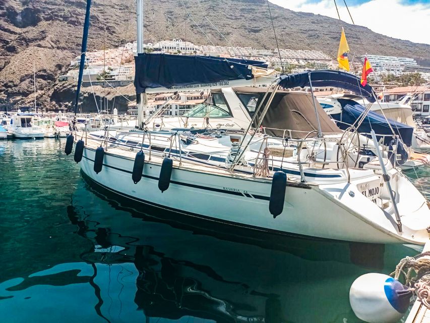 Los Gigantes: Whales and Dolphin Watching Cruise with Lunch - What the Small Group Format Changes (Comfort, Respect, and Pace)
