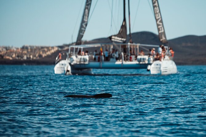Luxury Catamaran Cruise with Brunch and Unlimited Drinks - Deck Comfort and Seating: Balinese Beds vs. VIP Reality