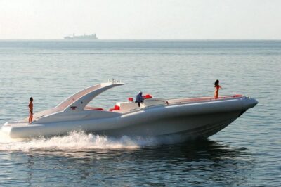 Luxury Opera 60 Whale & Dolphin Watching Experience - Whale and dolphin watching: what you actually do during the search