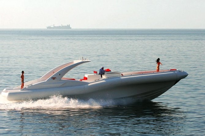 Luxury Opera 60 Whale & Dolphin Watching Experience - Whale and dolphin watching: what you actually do during the search