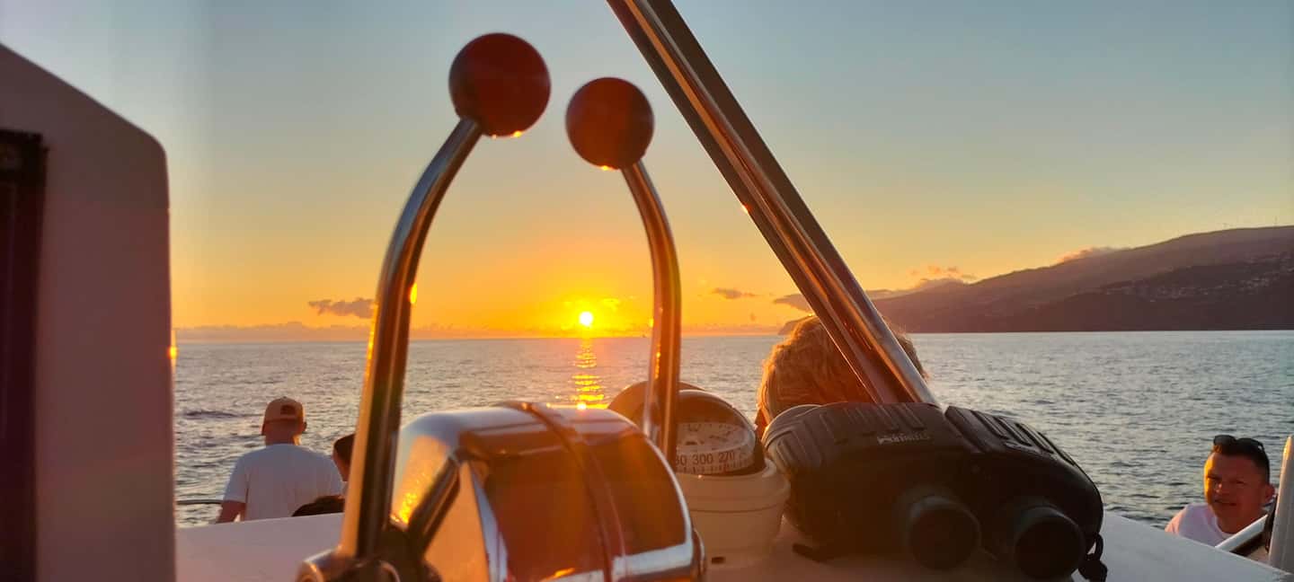 Madeeira: Sunset dinner cruise - Sailing the southern Madeira waters: chilled time with sea-level views