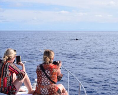 Madeira: 2.5-Hour Whale and Dolphin-Watching Cruise - Inside the yacht: comfort you’ll feel right away
