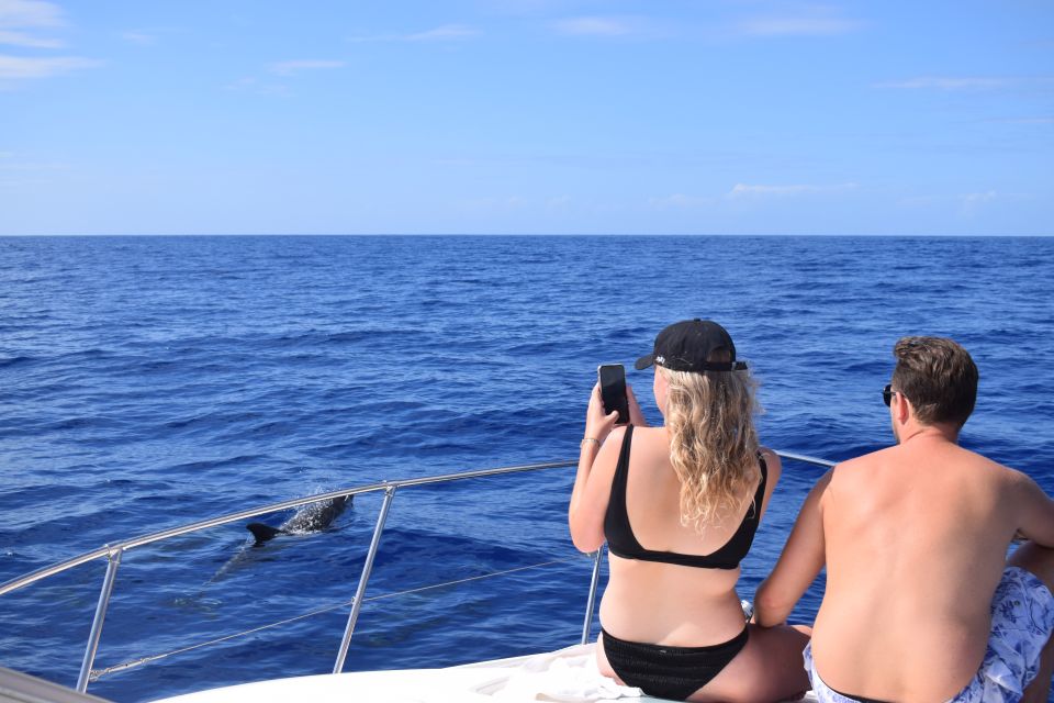 Madeira: 2.5-Hour Whale and Dolphin-Watching Cruise - The crew’s touches that improve real-world value