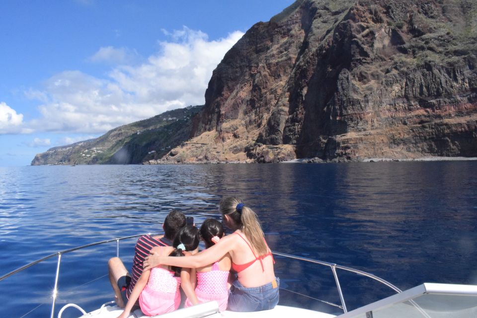 Madeira: 2.5-Hour Whale and Dolphin-Watching Cruise - Practical checklist: what to bring and what not to do