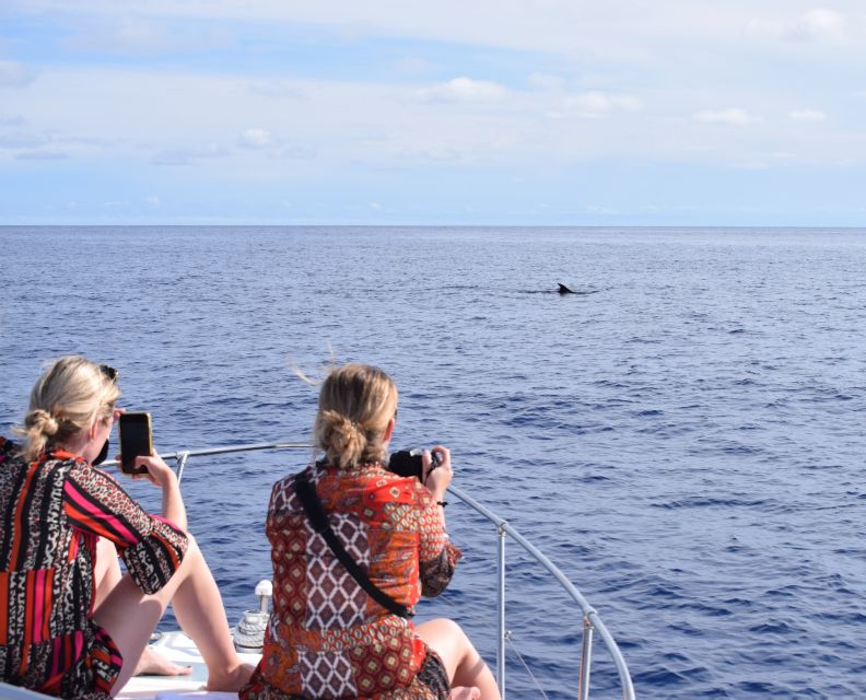 Madeira: 2.5-Hour Whale and Dolphin-Watching Cruise - Inside the yacht: comfort you’ll feel right away