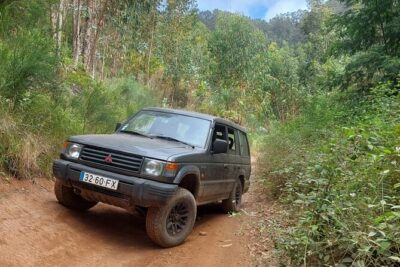 Madeira 4x4 Jeep Safari : Porto Moniz, Lava Pools & Fanal Forest - Cabo Girão: 580 meters up, and the skywalk decision