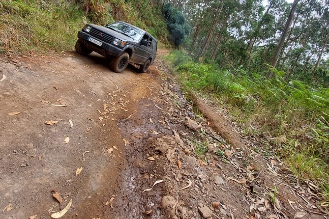 Madeira 4x4 Jeep Safari : Porto Moniz, Lava Pools & Fanal Forest - Porto Moniz for lunch, plus Seixal’s black sand beach stop