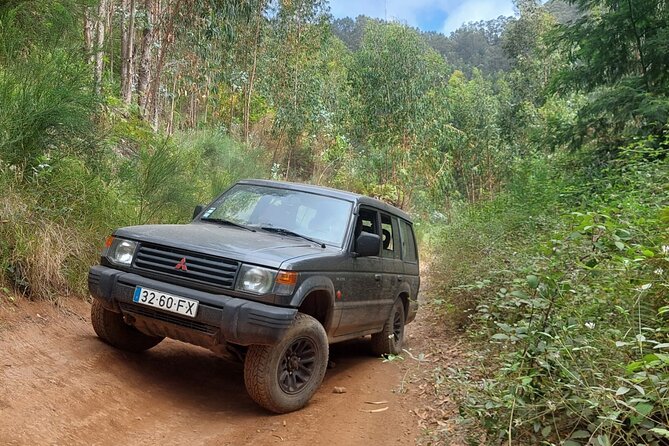 Madeira 4x4 Jeep Safari : Porto Moniz, Lava Pools & Fanal Forest - Cabo Girão: 580 meters up, and the skywalk decision