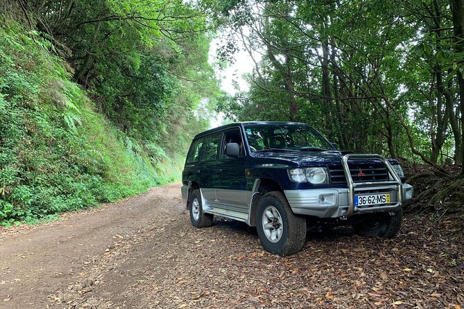 Madeira 4x4 Jeep Tour : Pico Arieiro & Santana Traditional Houses - A small-group 4x4 day that starts with pickup and keeps moving