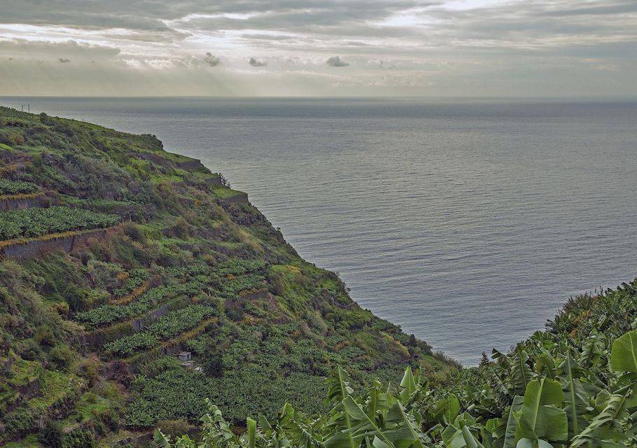 Madeira: Amazing West - Porto Moniz - Porto Moniz Natural Saltwater Pools: Swim Time Is the Main Event