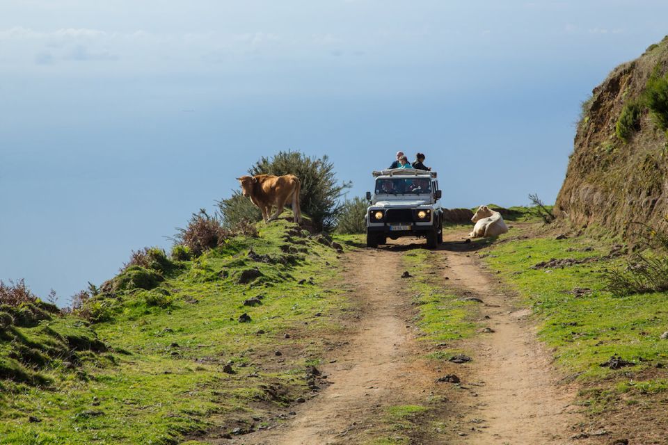 Madeira: Amazing West - Porto Moniz - Who This Tour Suits Best (and Who Should Skip It)