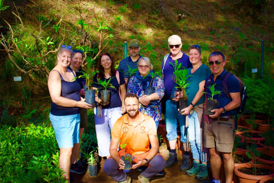 Madeira: Arieiro, Santana, Ponta de São Lourenço Jeep Tour - Price and value: what $73 buys on this kind of route