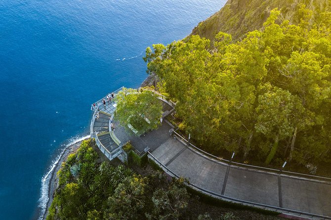 Madeira Best of the West Day Tour - Paul da Serra plateau: the “up high” reset