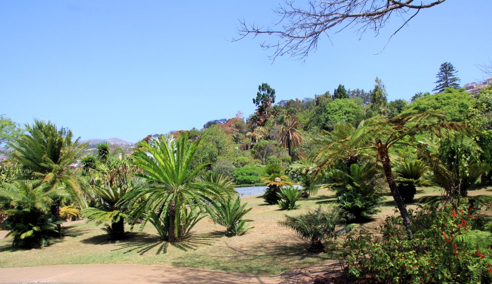 Madeira: Botanical Garden in a Tuk-Tuk Tour - Funchal From Above: Why the Tuk-Tuk Ride Matters