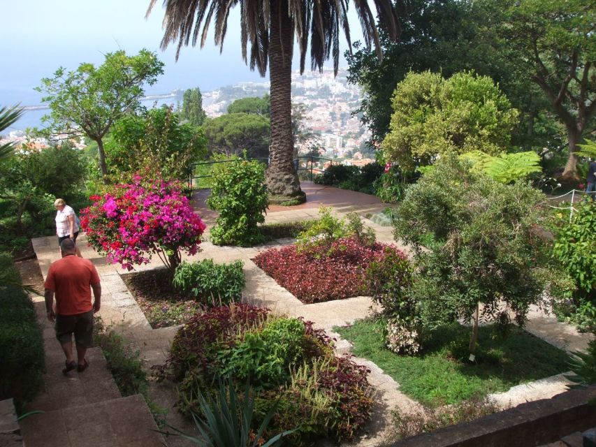 Madeira: Botanical Garden in a Tuk-Tuk Tour - The Museum of Natural History Option (For Plant Nerds and Curious Minds)