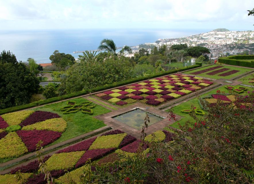 Madeira: Botanical Garden in a Tuk-Tuk Tour - Madeira Botanical Garden: 1 Hour to Explore at Your Pace
