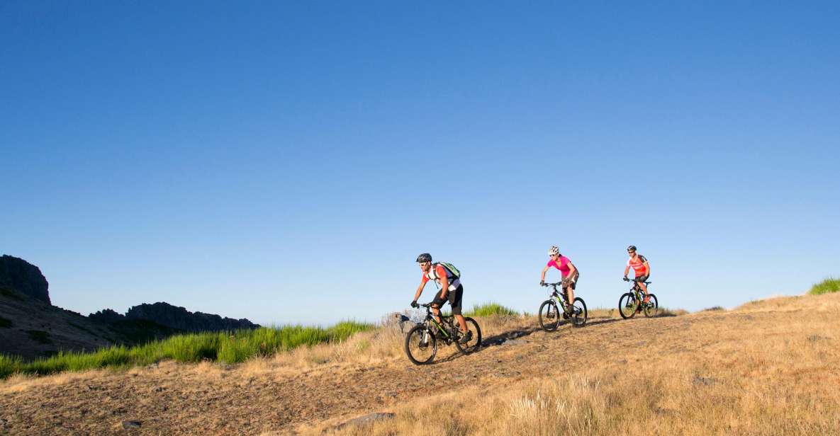 Madeira Botanical Levels Bike Tour – Scenic Trail Experience - Levada Riding at 850 Meters: Forest Smells, Berry Stops, and Real Variety