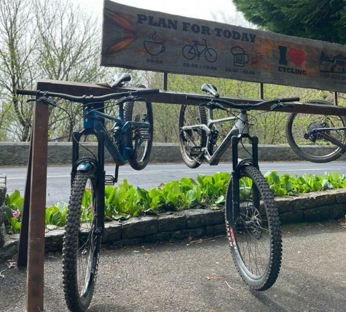 Madeira Botanical Levels Bike Tour – Scenic Trail Experience - The Last 10 Kilometers to Lokoloko: Why Braking Is the Real Skill