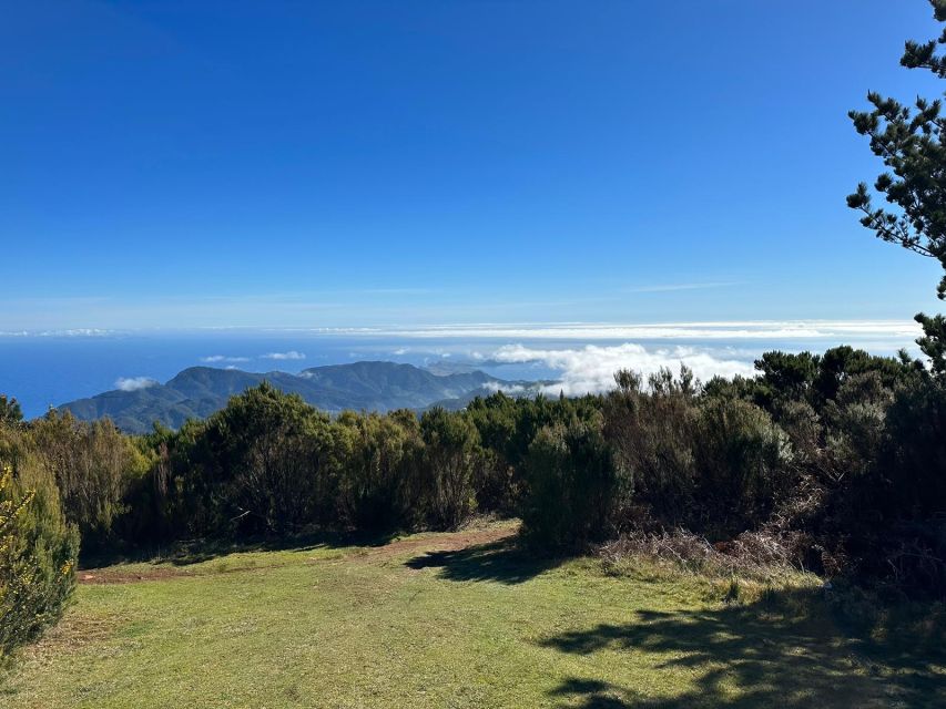 Madeira Botanical Levels Bike Tour – Scenic Trail Experience - Pricing: Is $94 Worth It for a 4.5-Hour Downhill Day?