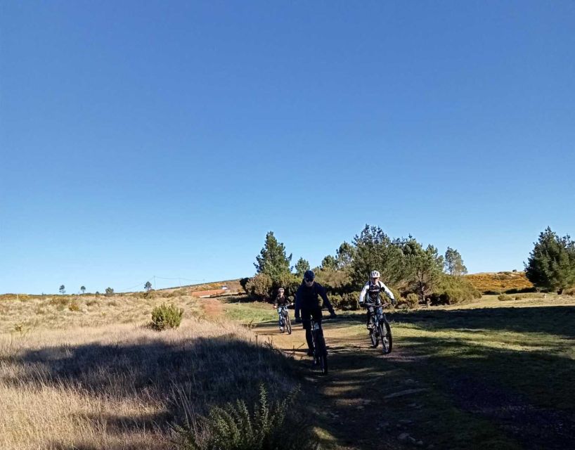 Madeira Botanical Levels Bike Tour – Scenic Trail Experience - Who This Tour Suits Best (And Who Should Consider a Different Option)