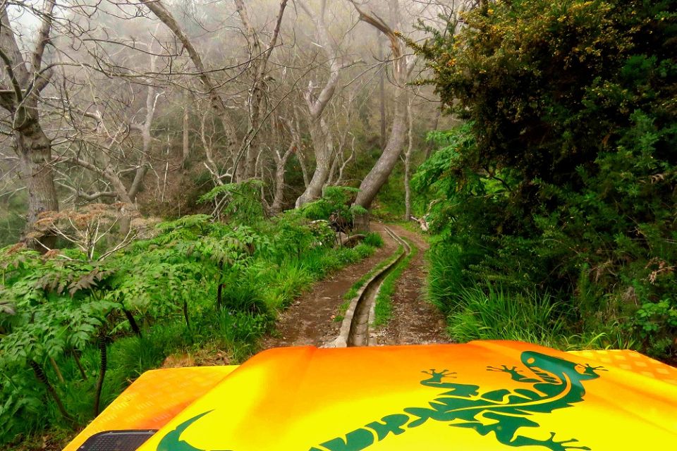 Madeira : Cabo Girao and Camara de Lobo 4WD half-day Tour - Price and Value: Is $58 Worth 4 Hours of 4WD?