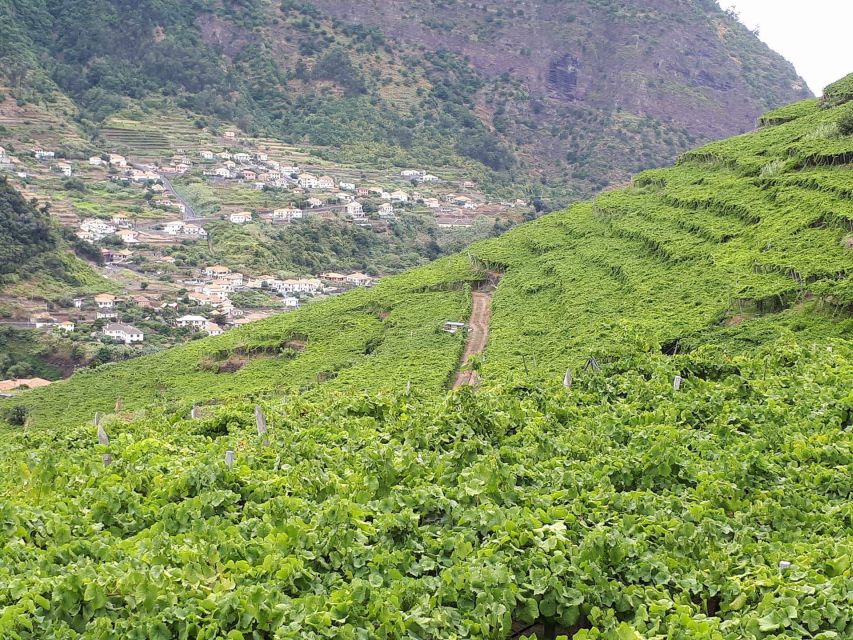 Madeira: Cabo Girão, Wine Tasting, & Serra d'Água Jeep Tour - Key things I’d circle before you book