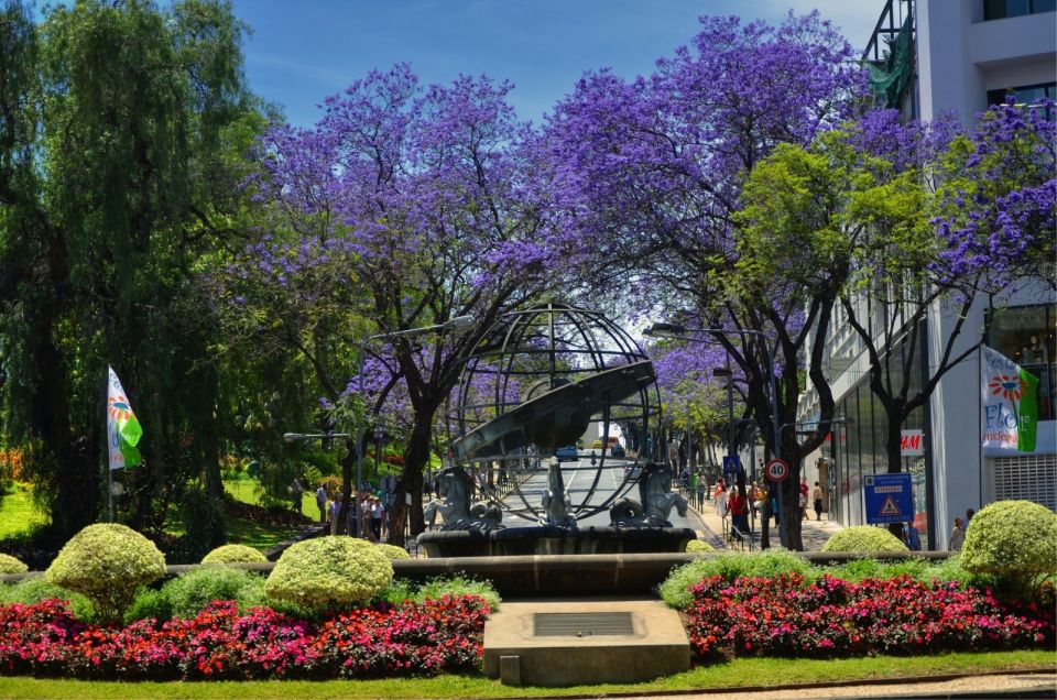 Madeira: Customized 3, 4 or 6-Hour Tour - Practical advice so your day goes smoothly