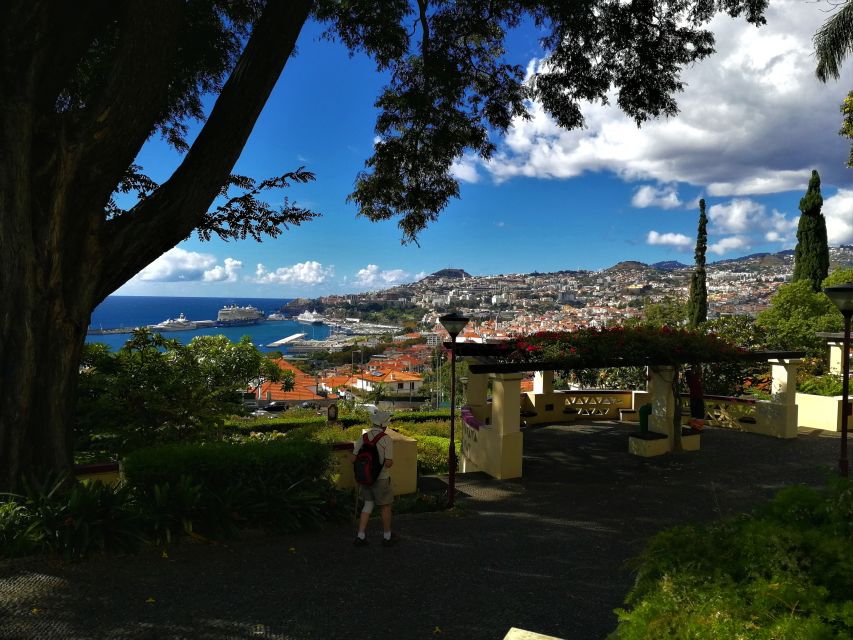 Madeira: Customized 3, 4 or 6-Hour Tour - Who should book this customized Madeira tour?