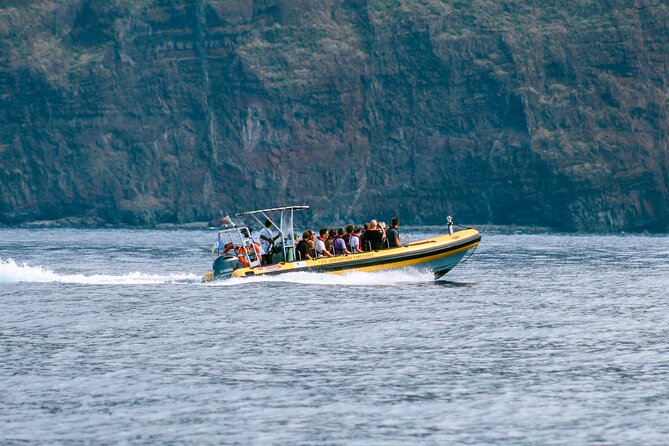 Madeira Dolphin & Whale Watching Tour - The RIB ride along Madeira’s coast: speed, comfort, and choppy-water reality