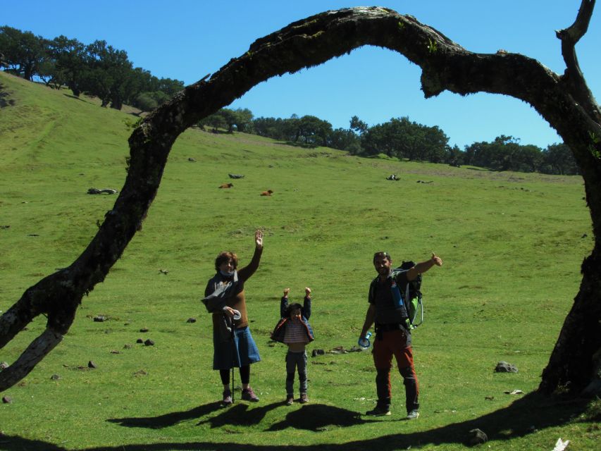Madeira: Fanal Forest Guided Hiking Tour - How the Jeep/SUV Ride Sets the Scene (and Keeps You Focused)