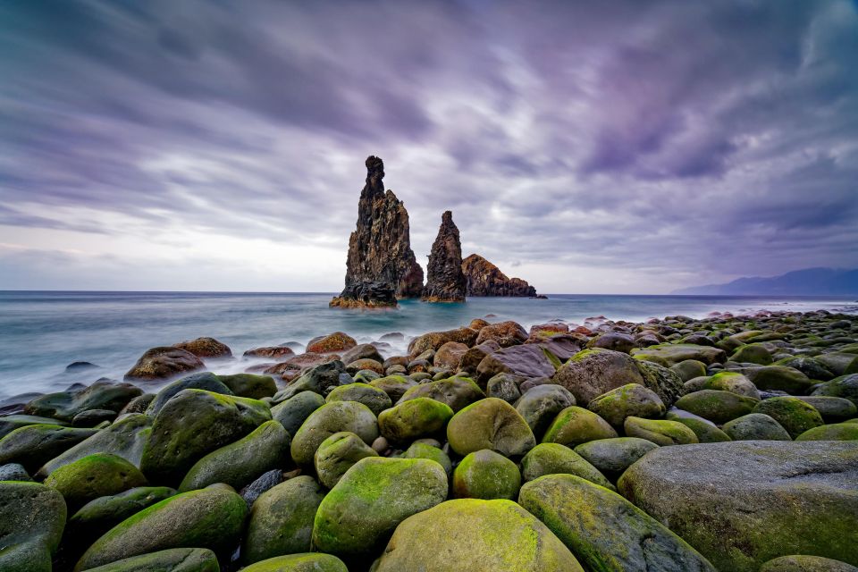 Madeira: Full-Day Jeep Tour, Natural Pools, Seixal & Fanal - Fanal forest: walking among the ancient laurel trees