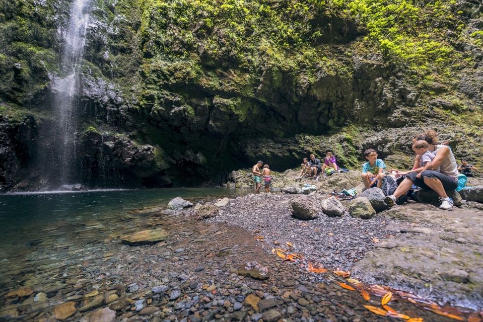 Madeira: Full-Day Laurel Forest Guided Walking Tour - Queimadas Forestry Park: start in a fairytale setting with the thatched-house landmark