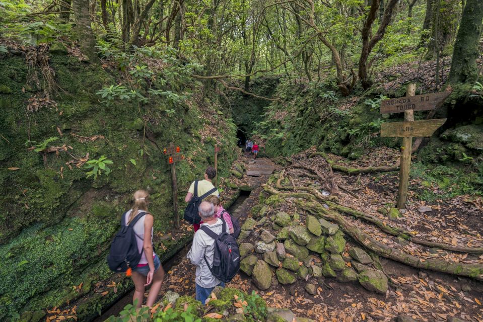 Madeira: Full-Day Laurel Forest Guided Walking Tour - The levada trail itself: views, valleys, and the parts that need real footwear