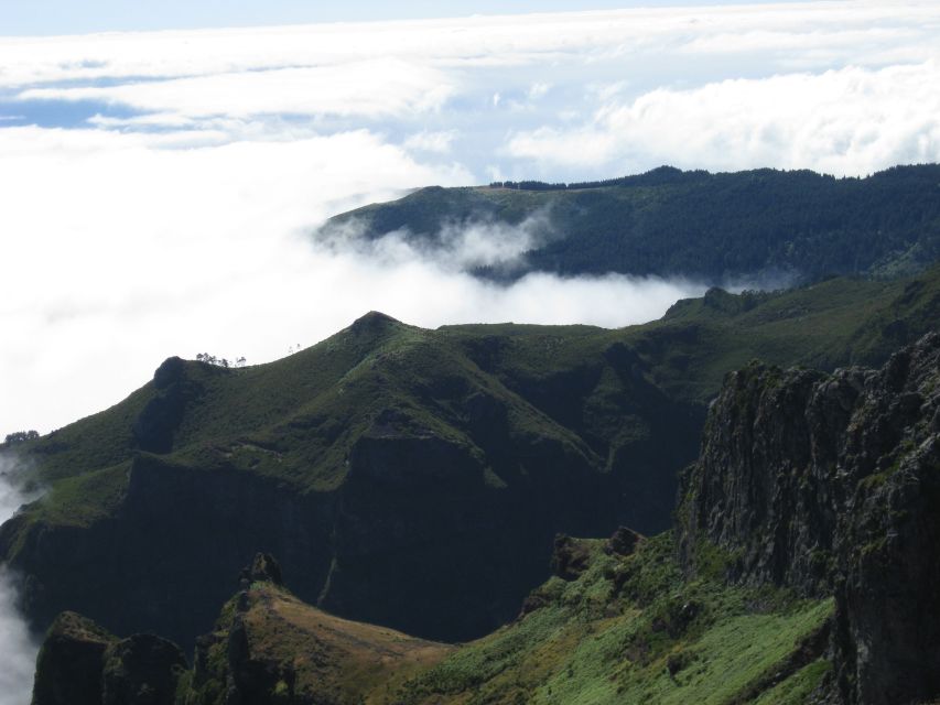 Madeira: Full-Day Pico Ruivo / Achada do Teixeira Walk - Old heather forest: why this stop feels different from a normal nature walk