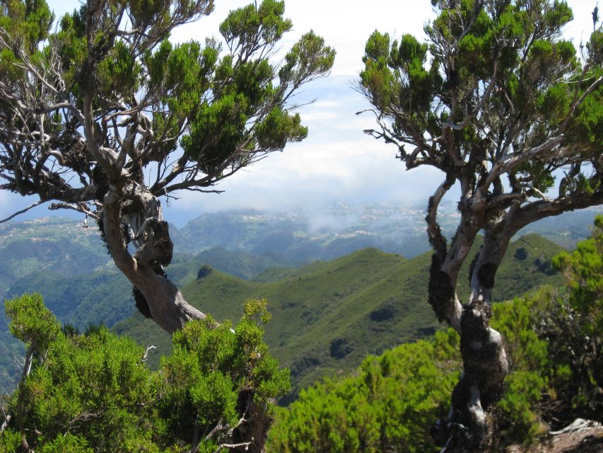 Madeira: Full-Day Pico Ruivo / Achada do Teixeira Walk - What to bring: keep it simple, keep it grippy
