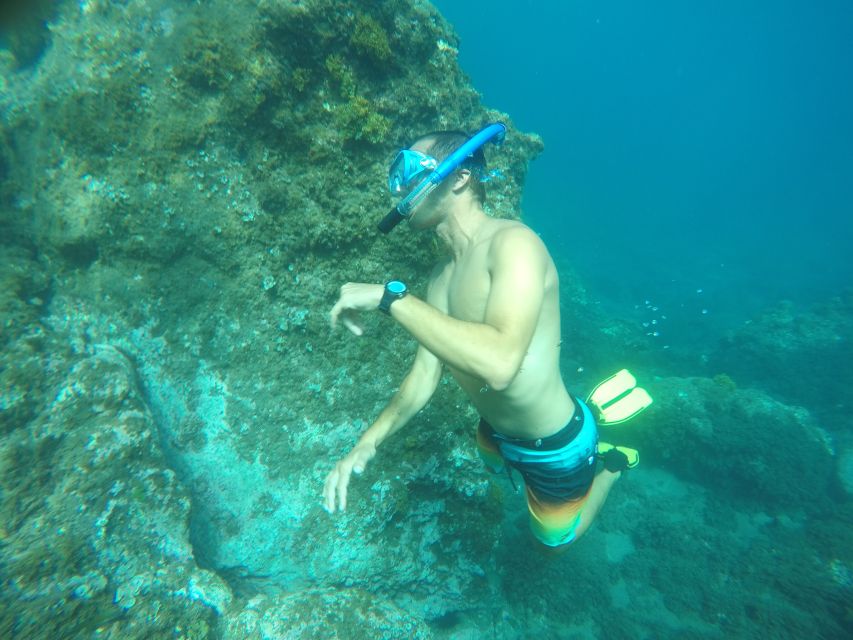 Madeira: Garajau Nature Reserve Kayak and Snorkel Tour - Harbor Basics: How the Kayaking Part Really Works